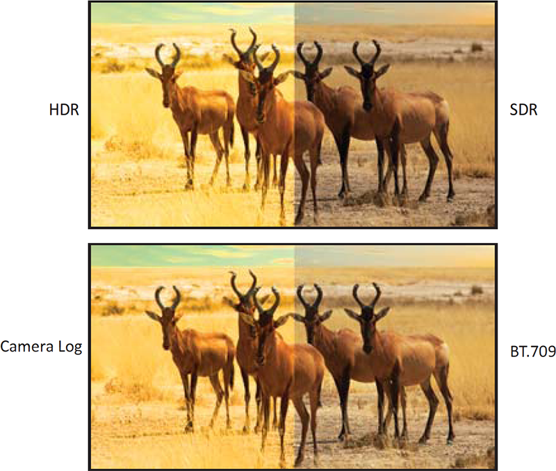 HDR / Camera Log Comparison image