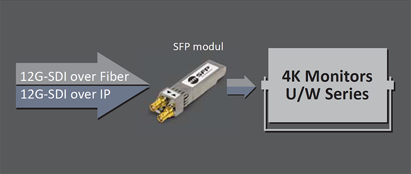 IP Supporting ST 2022-6 image